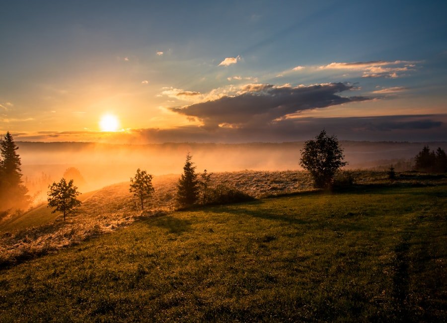 Sunrise over a calm meadow, symbolizing hope and recovery